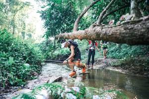 BIB: 
                            <button type="button" onclick="openModal(25434797)" class="btn btn-primary btn-sm float-right btn-popup" data-toggle="modal" data-target=".modal-high-quality">
                        <i class="fas fa-shopping-cart"></i> Add to Cart
                    </button>
                                            <button type="button" onclick="isThisMe(25434797, true)" class="btn btn-success btn-sm float-right btn-popup btn-isme hidden" data-toggle="tooltip" data-placement="bottom" title="นี่คือรูปของคุณใช่ไหม คลิกที่นี่เพื่อเอาเข้าอัลบั้ม">
                        <i class="fas fa-plus"></i> Add to album
                    </button>
                    <button type="button" onclick="isThisMe(25434797, false)" class="btn btn-warning btn-sm float-right btn-popup btn-isnotme hidden">
                        <i class="fas fa-ban"></i> Remove from album
                    </button>